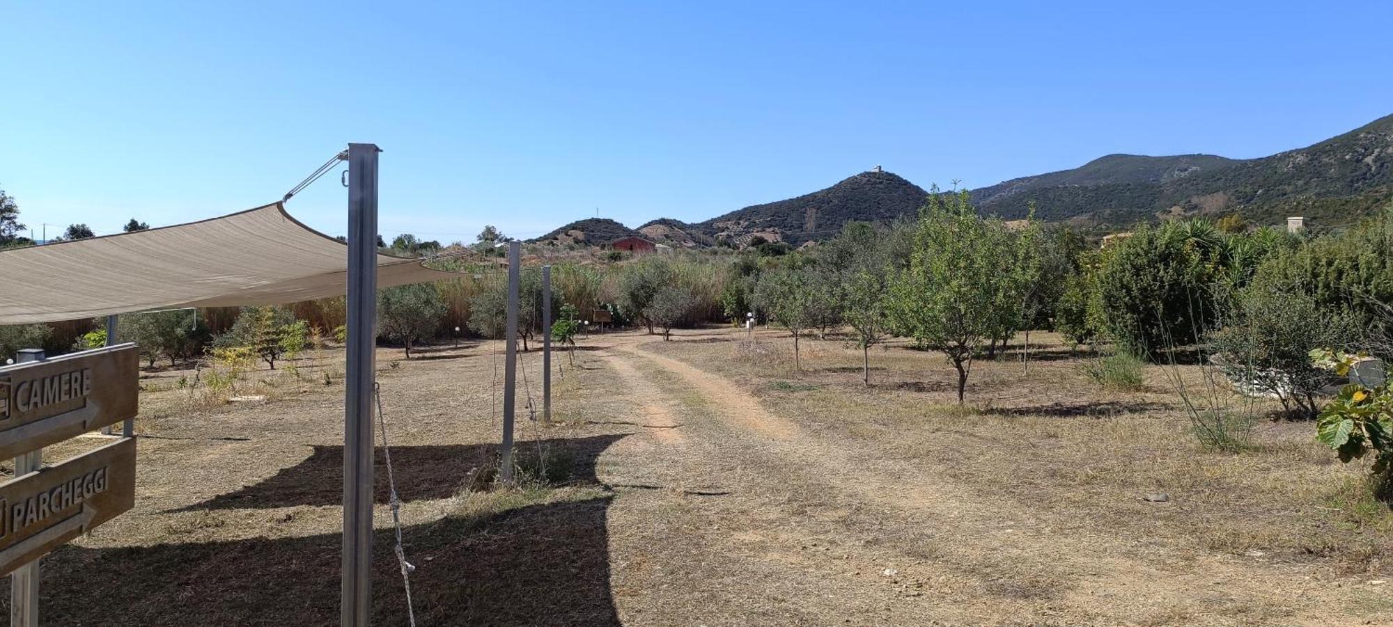 Sa Teria Village - Appartamenti - Tertenia Ngoại thất bức ảnh
